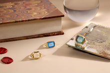 Load image into Gallery viewer, No Caution Guards Us From Surprise